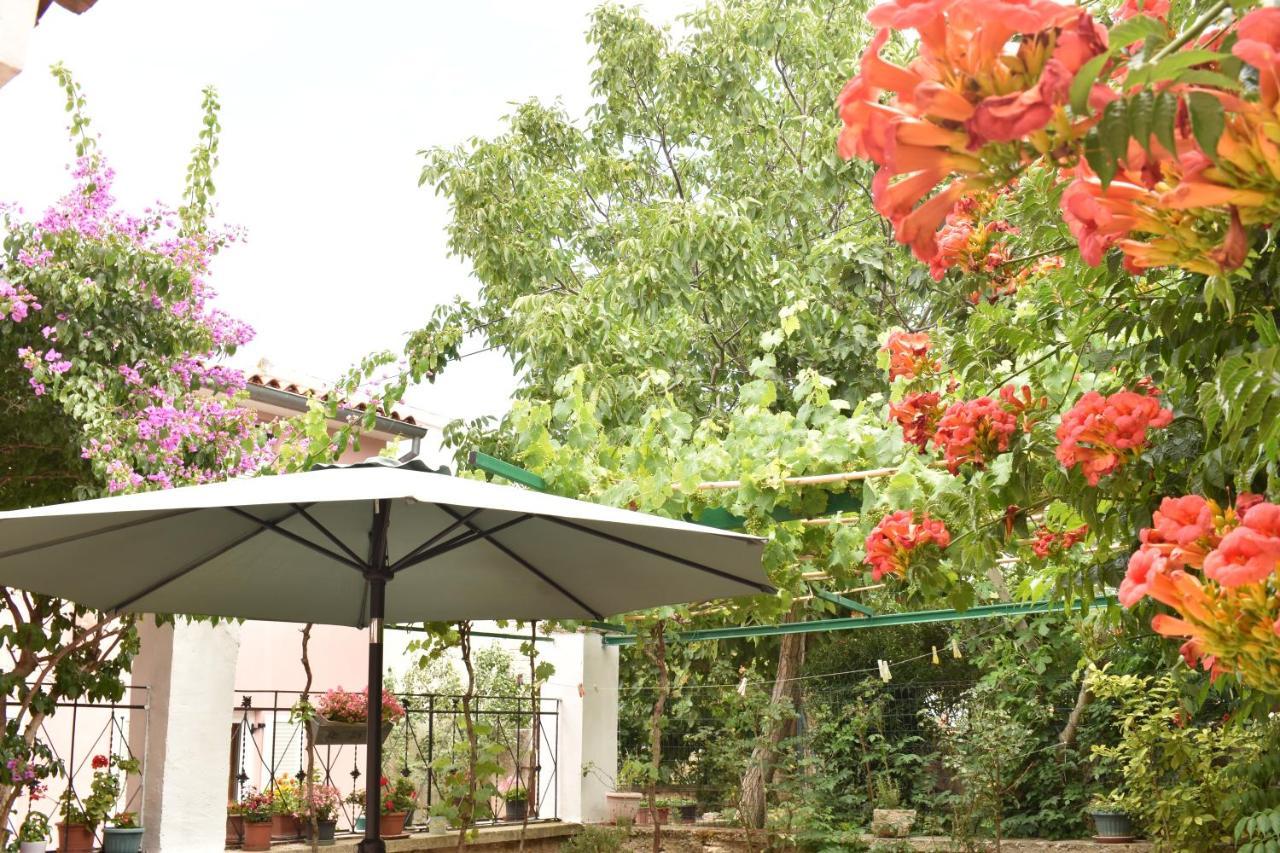 פרמנטורה Holiday House Letizia מראה חיצוני תמונה
