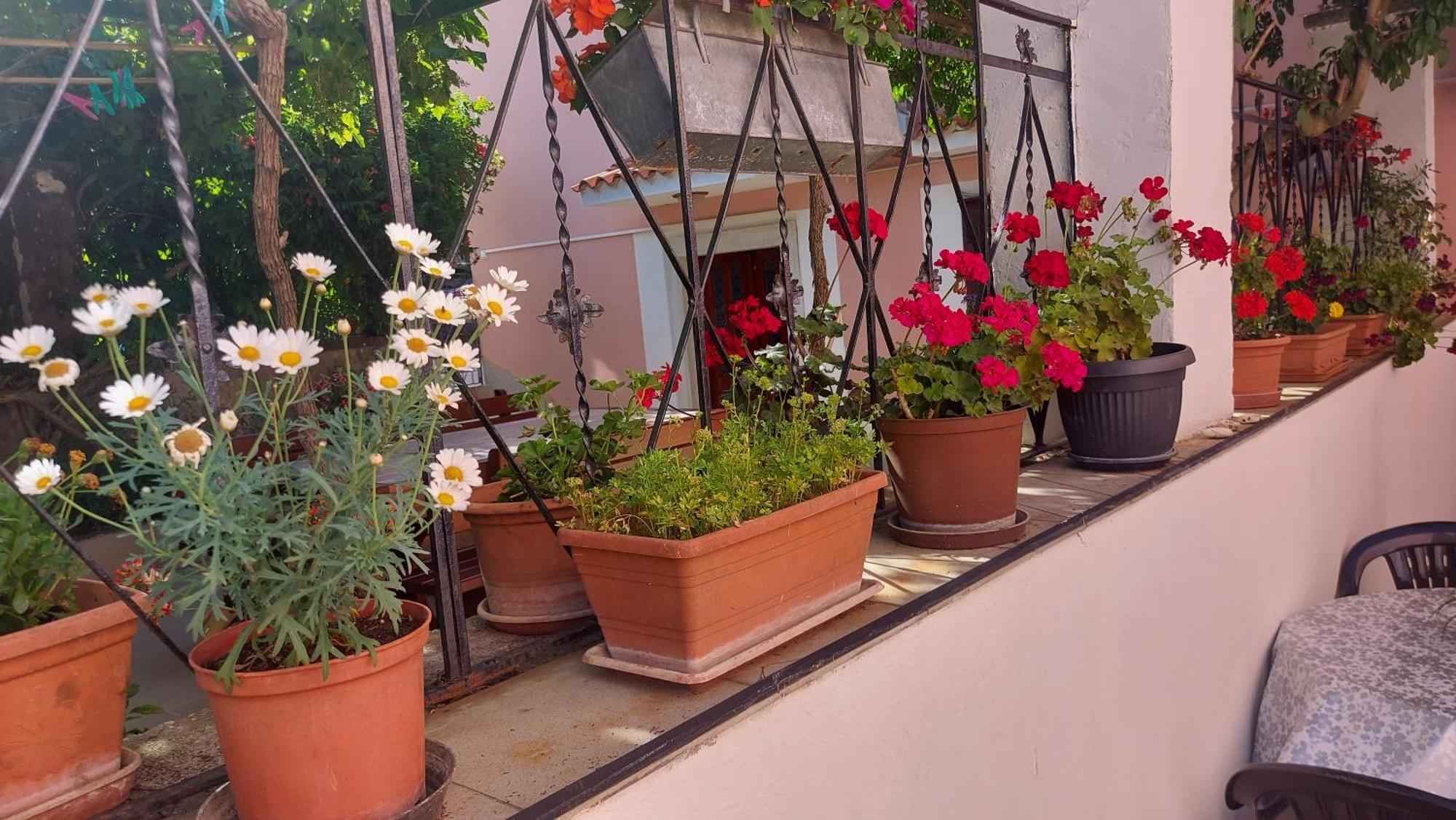 פרמנטורה Holiday House Letizia מראה חיצוני תמונה